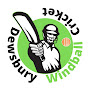 Dewsbury Windball Cricket