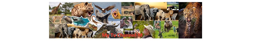 MyTvChannel-M