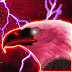 logo Not TThunderBird