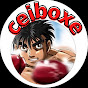 Ceiboxe