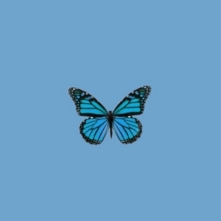 Эстетичные обои синие бабочки