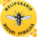 MELIPONÁRIO MUCURI HYMALAIA