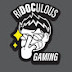 riDOCulousGaming