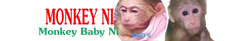 Monkey Baby Ni Banner