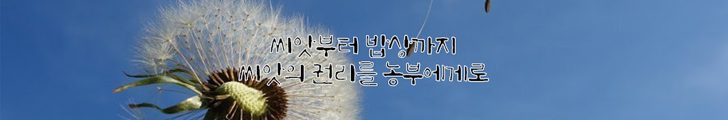 토종씨드림