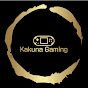 Kakuna Gaming
