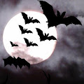 Artist Thumbnail