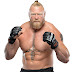 Brock Lesnar Fight