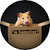 I'm hamster?