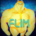 logo Flim