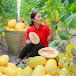 Anh Daily Life