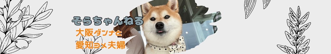 柴犬そらちゃんねる【大阪ダンナと愛知ヨメ夫婦】