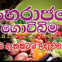 sinharaja govibima සිංහරාජ ගොවිබිම