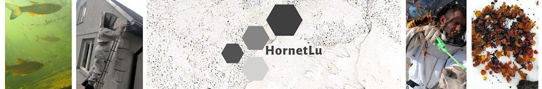 HornetLu Banner