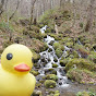 Travel duck in Japan economy class