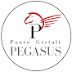 Punto Gestalt Pegasus