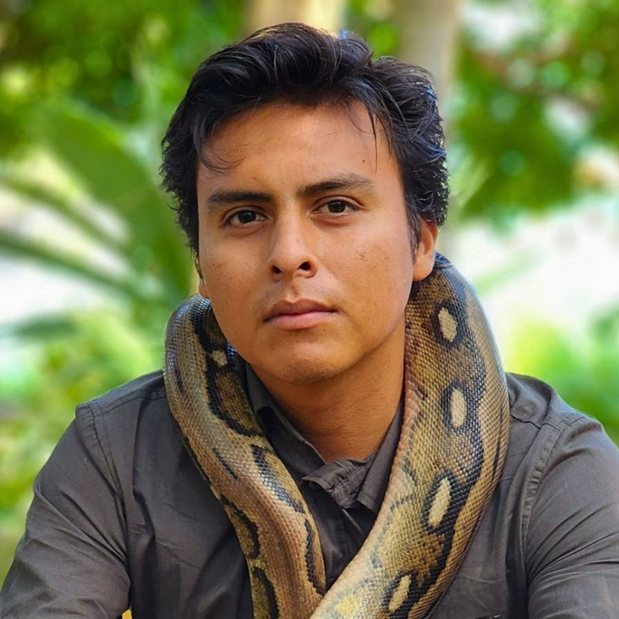Mundo Salvaje @mundosalvajemexico