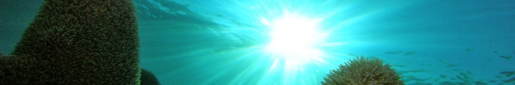 aquariusscubavideoproductions