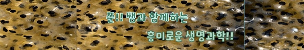 생명과학정해준