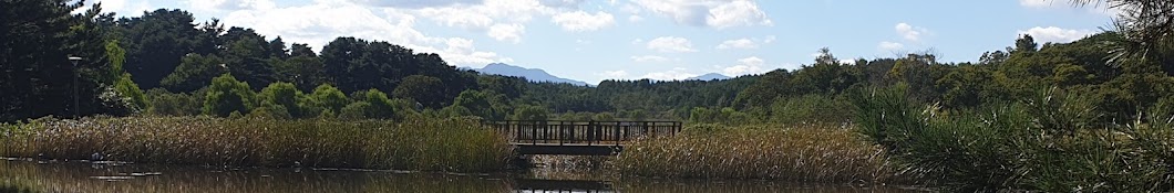 Birdwatching activities with married couple