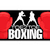 Toe2Toe_boxing