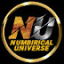 Numerical universe