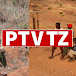 PTVTANZANIA online