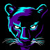 Dark Panther Gaming