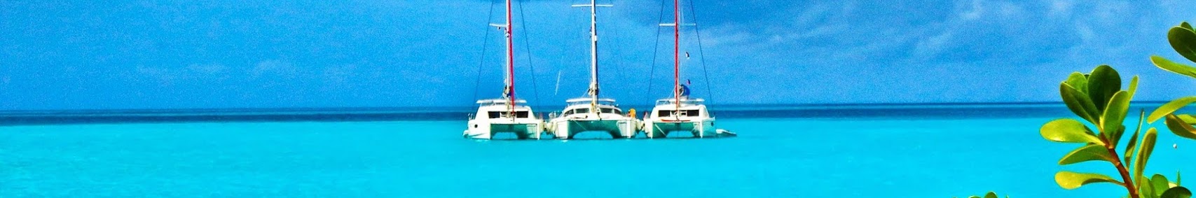 sailorcompanyitalia
