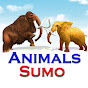 Animals Sumo