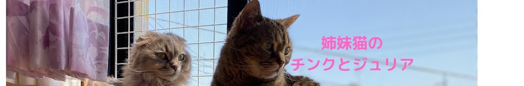 姉妹猫のチンクとジュリア