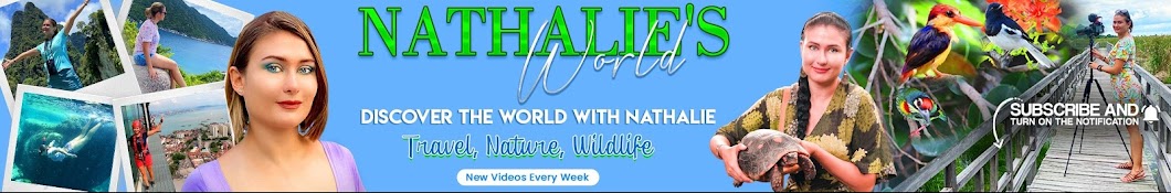 Nathalie's World Banner