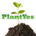 PlantYes