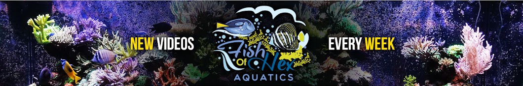 FishOfHex Aquatics Banner