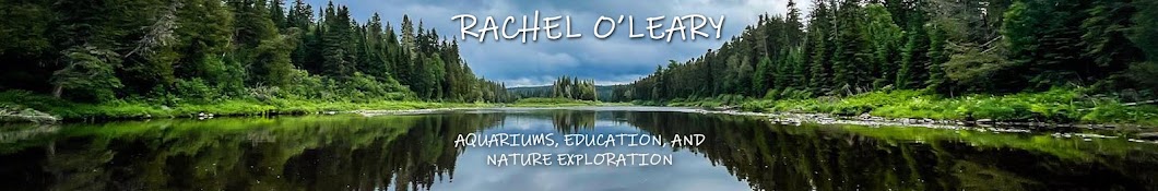 Rachel O'Leary Banner