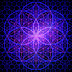 logo Quantum Healing Meditations