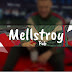 logo MellstroyPub