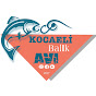 KOCAELİ BALIK AVI