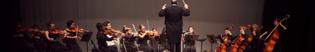 Sunflower Chamber Orchestra