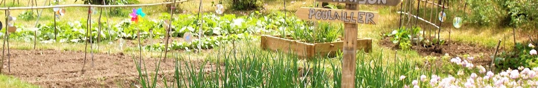 Potager naturel de Flo, tomate, courgette, etc...