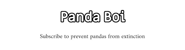 PANDA BOI
