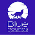 Bluehounds - Rhythm & Blues with Soul