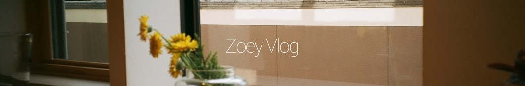 홍조이zoey vlog