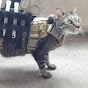 TacticalCat