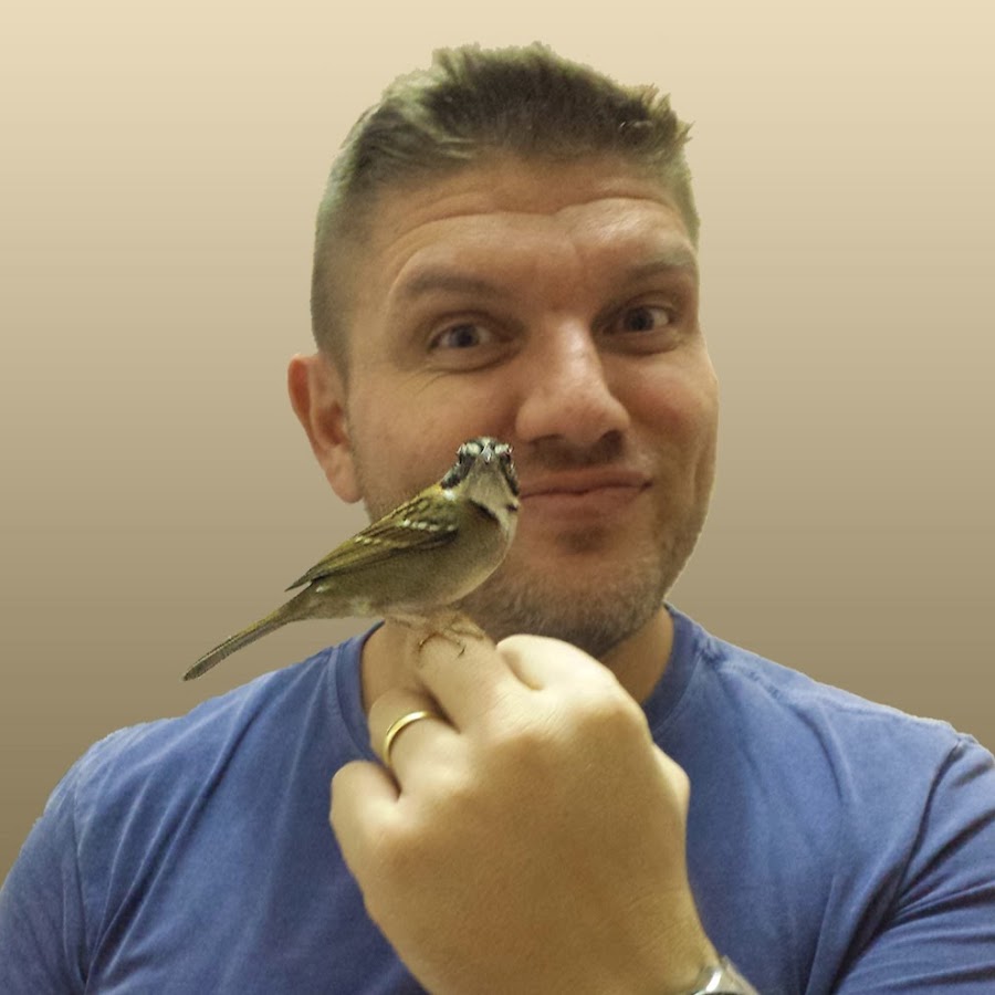 Alejunglesongs @alejunglesongs