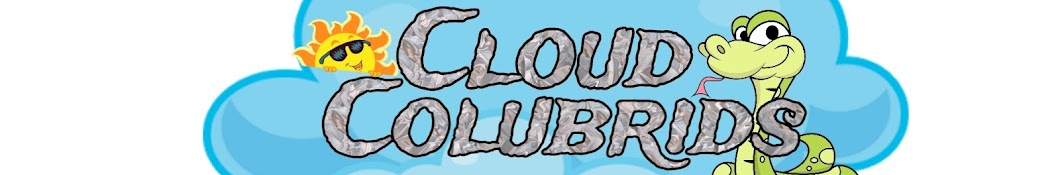 Cloud Colubrids