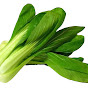 BokChoysGames