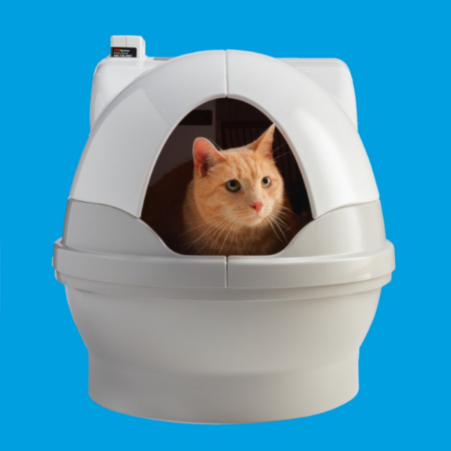 Catgenie litter box video best sale