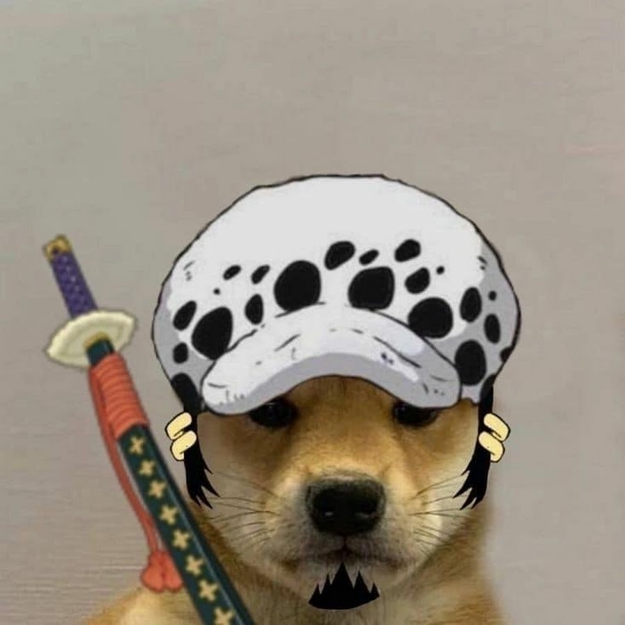 Dog piece. Собака в шляпе Трафальгара ЛО. Ава собака Зоро. Dogwifhat. Doge Law one piece.