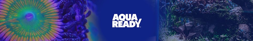 AquaReady